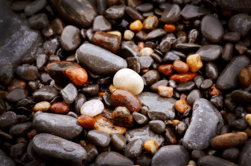 Beach rocks from Brighton, ON. 