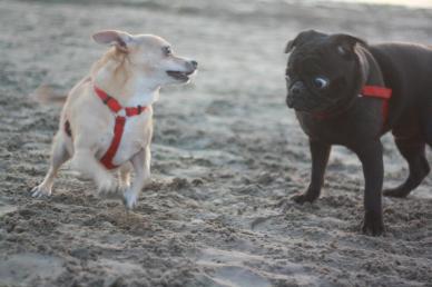 578641_10151108643418664_637765414_n