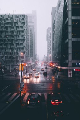 Photo by: Matthew Tran.