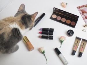"My cat (and dog) work hard behind the scenes,: Romy. Photo courtesy of: YMOR Beauty. 