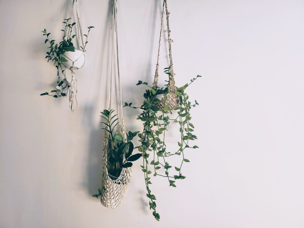 Three medium-sized plants are potted in beige, knitted hangers, delicately resting against a white wall. 